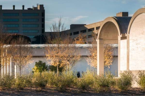 Top Free Things To Do in Fort Worth
