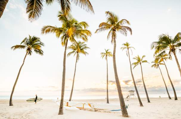 Palm trees on Fort Lauderdale Beach