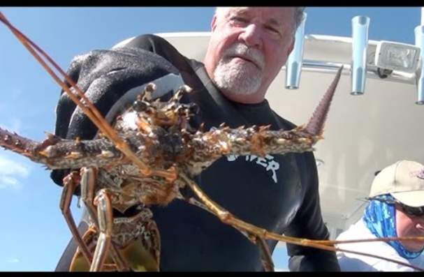 Catching the Bug, Episode 9