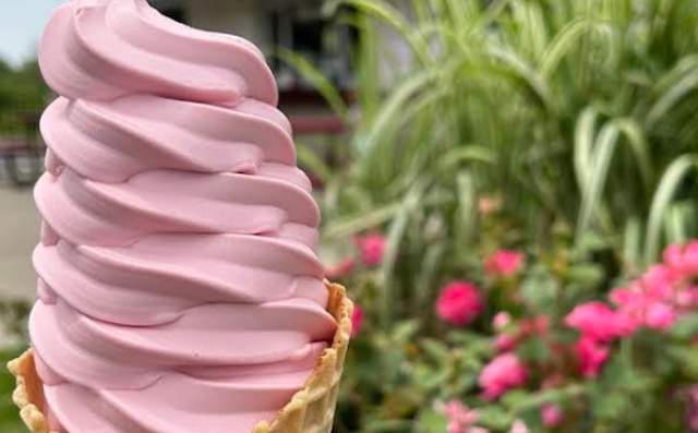 Discover Kalamazoo | Spad's Twisters