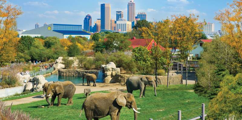 Save at top attractions like the Indianapolis Zoo with Indy Daily Deals