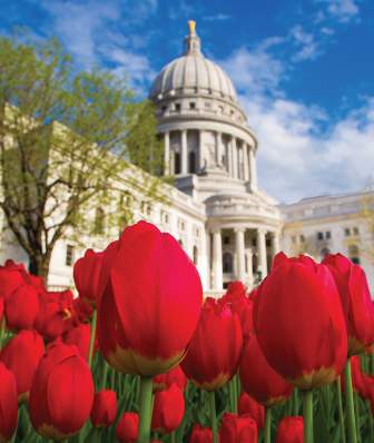 Capitol and Tulips