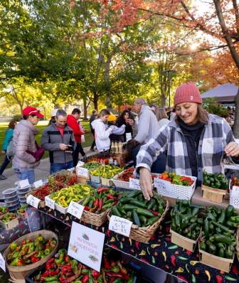 Shoppers browse a fall farmers market filled with colorful peppers and fresh produce beneath autumn trees in downtown Madison.