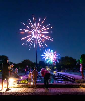 A vibrant night scene featuring colorful fireworks illuminating the sky above a park. People gather around a water feature, enjoying the display.