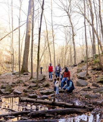 A family of four people hike through Governor Dodge State Park surrounded by tall trees and a small stream