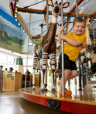 An image of a kid riding the carousel at Henry Vilas Zoo