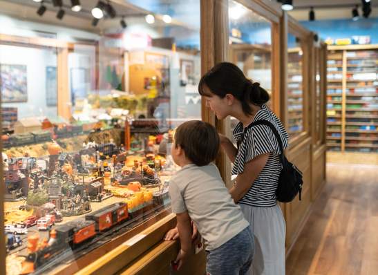 Customs House Museum - for listing only