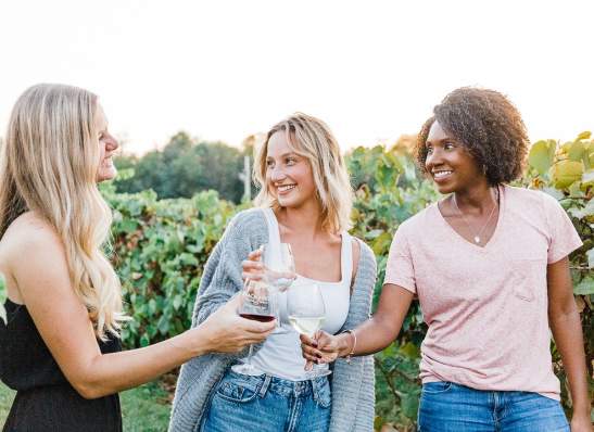 Savor the Day at Beachaven Vineyards & Winery