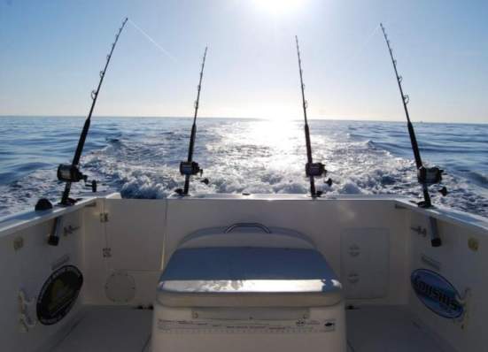 Catalina Coastal Tours & Fishing