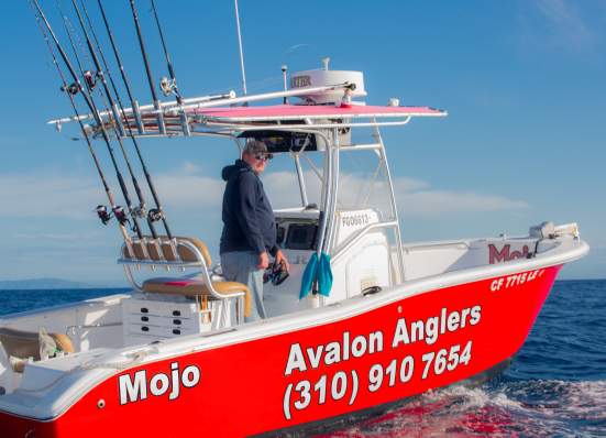 Avalon Anglers