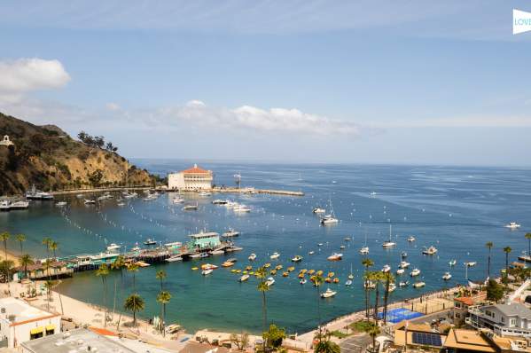 Catalina Island Harbor
