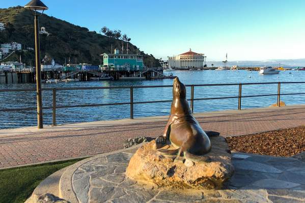 Old Ben Catalina Island