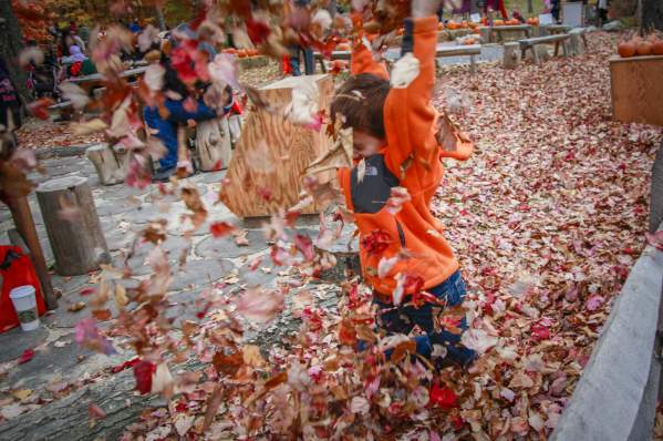 Foliage & Flavors in Central MA