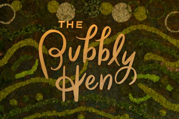 Bubbly Hen
