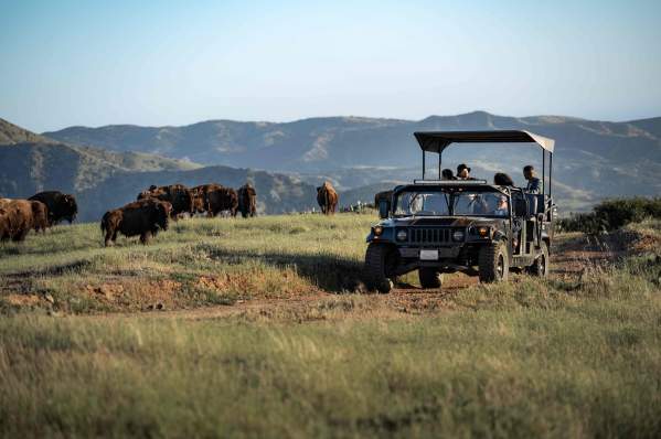 Catalina Island Company Activities & Adventures