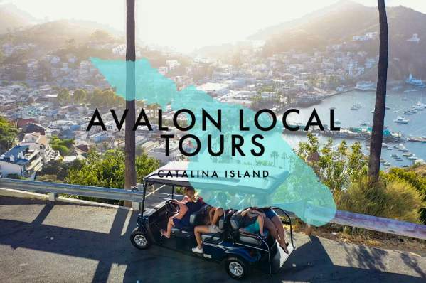 Avalon Local Tours