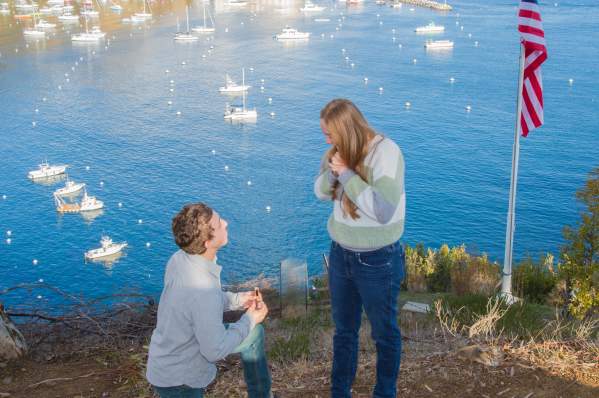 Shanda Photographic
