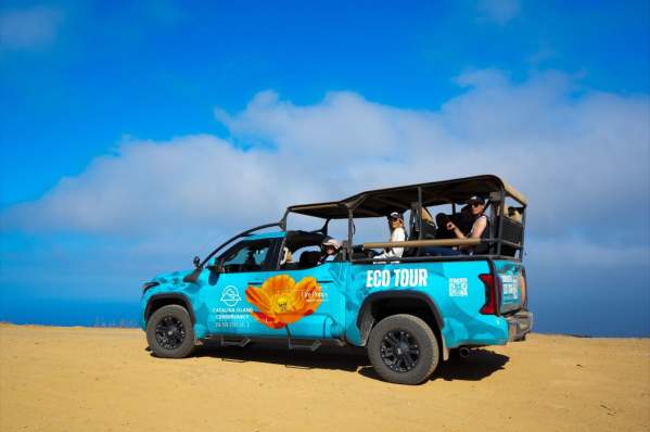 Catalina Island Conservancy Eco Tours