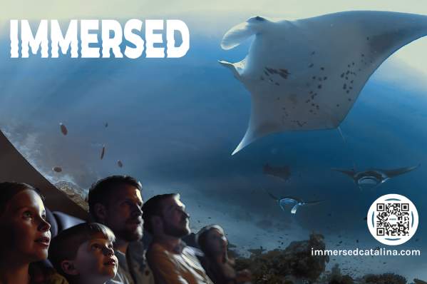 Akuario presents IMMERSED: Ocean Wonders