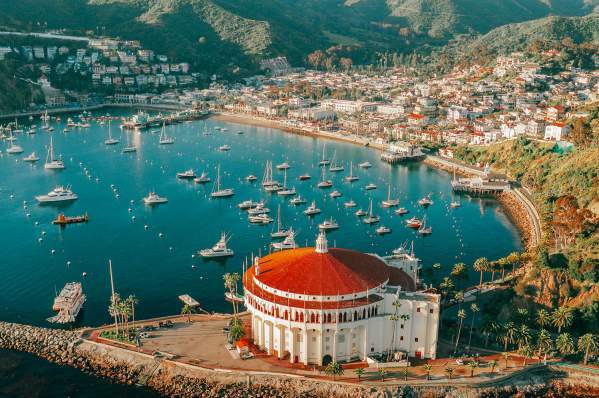 Ryan Longnecker Creative