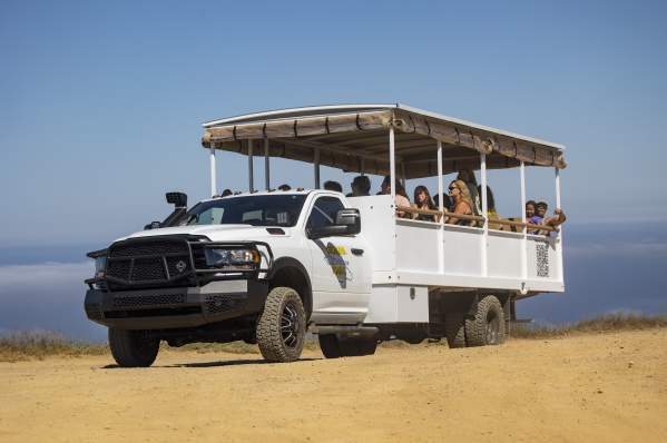 Catalina Adventure Tours - Land Tours