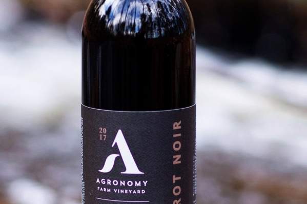 Agronomy Farm Vineyard