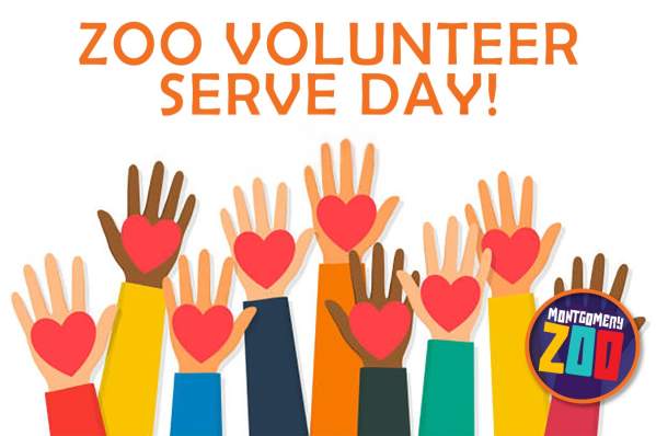 Zoo Volunteer Serve Day