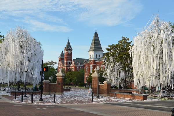 A Brief History of Toomer's Oaks