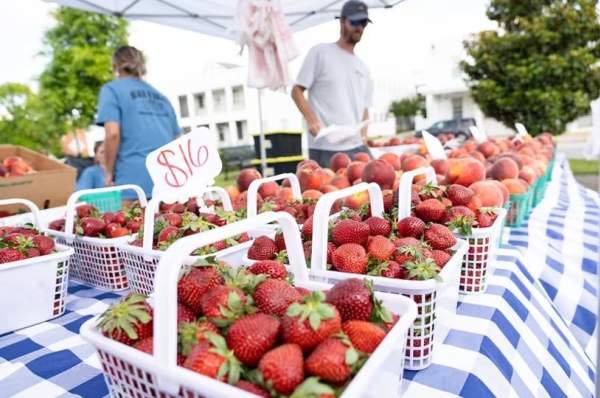 O Grow's Strawberry Festival