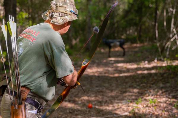 Archery - Wooded Lanes