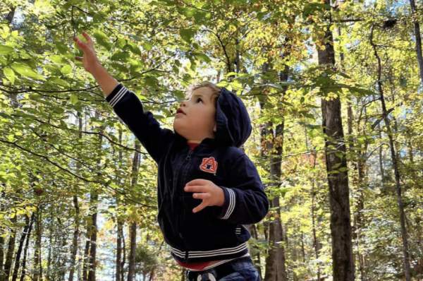Kreher Kid