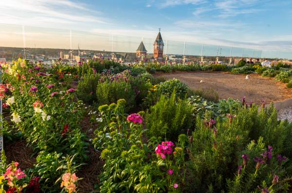 Yoga on Walts On The Roof