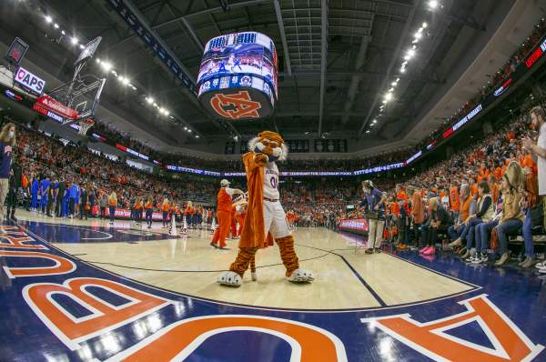 How to Make the Most of Your Basketball Stay in Auburn-Opelika