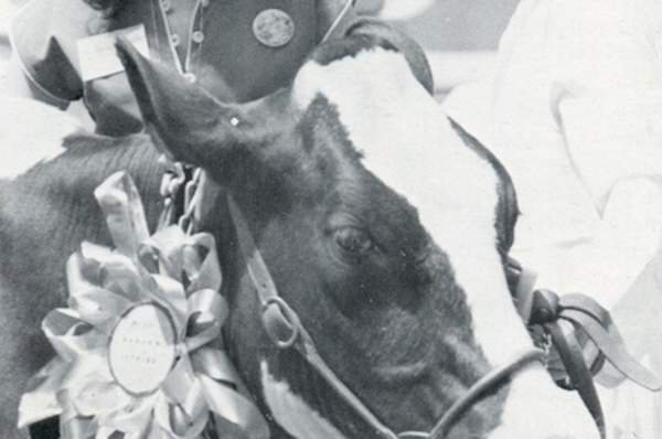 A Brief History of the Classic Auburn Nickname – “Cow College”