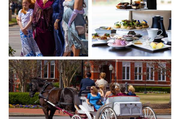 Bridgerton Tea on Thach at 1856 - Culinary Residence