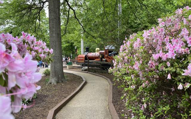 Train at Busch Gardens