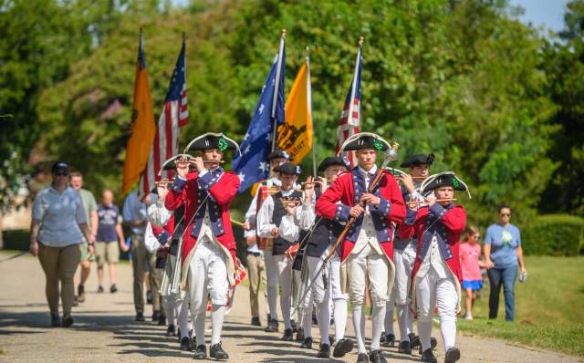 Fife and Drum Performance
