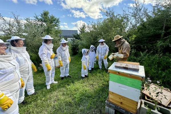 2nd Annual Honey Harvest - Bottle Your Own Honey