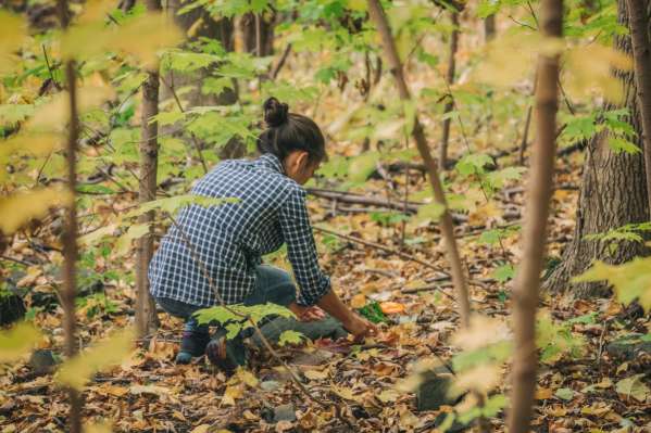 Foraging Hike + Salve Making