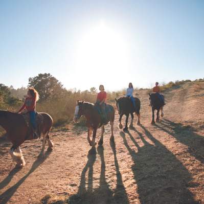 group horseback riding