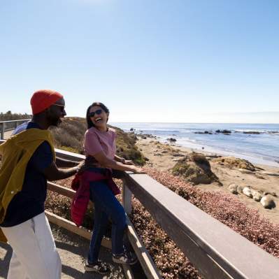 Two people on the coast looking at Elephant Seals from a vista point