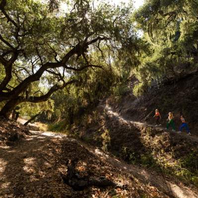 Three women in colorful workout clothes hiking up a trail through oak trees