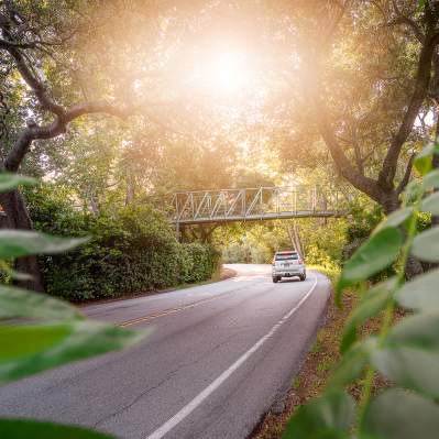 Car driving under bridge on two lane road in forest