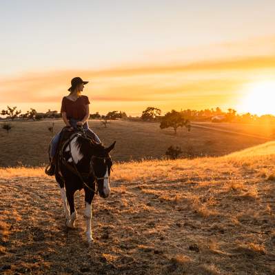 Girl riding a horse