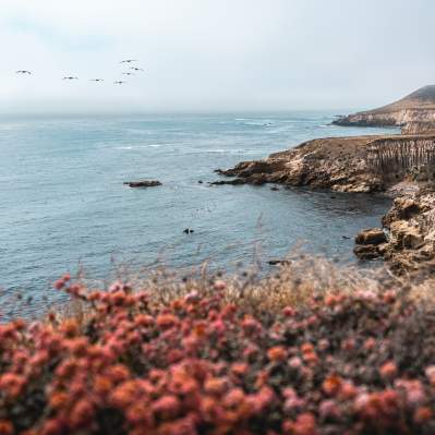 Montana De Oro