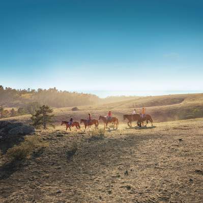 Group of friends horseback riding in Cambria