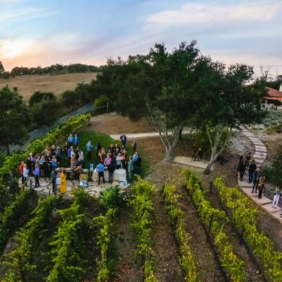 Aerial shot of a group event at winery in SLO CAL