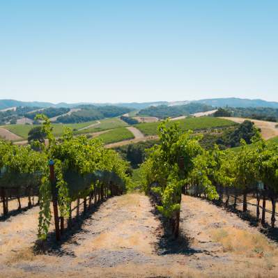 Sustainably SLO CAL
