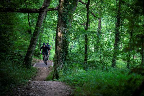 Coler Mountain Bike Preserve Trail