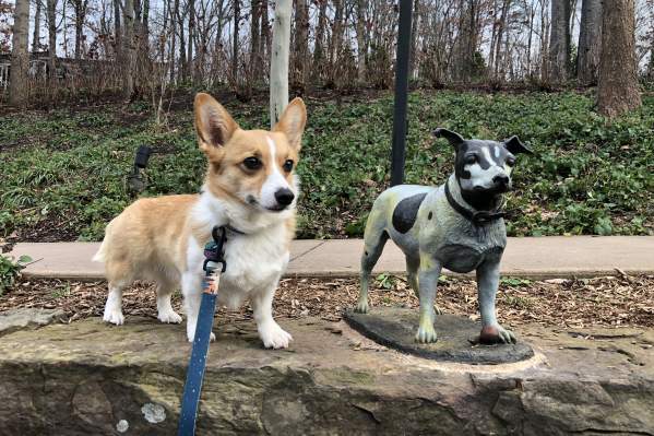 Where to Bring Your Dog When You Visit Bentonville
